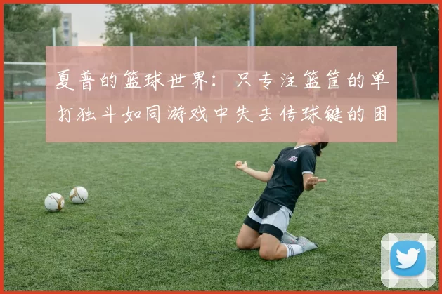 夏普的篮球世界：只专注篮筐的单打独斗如同游戏中失去传球键的困境