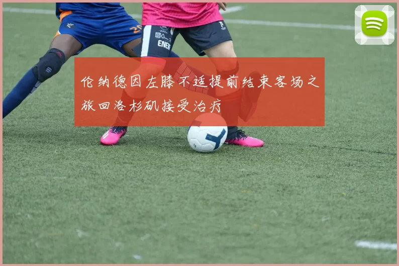 伦纳德因左膝不适提前结束客场之旅回洛杉矶接受治疗